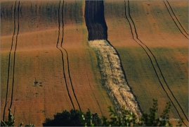 <p>jižní Morava</p>